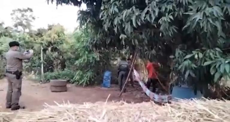 泰国民众割草时意外发现神秘“手榴弹” 差点引起爆炸