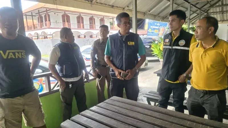 普吉岛咖啡馆惊现幼狮！泰国警察野生动物官员紧急追捕！
