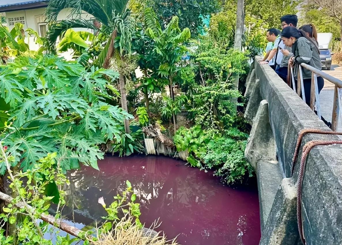 泰国运河水惊现粉红色，污染严重！