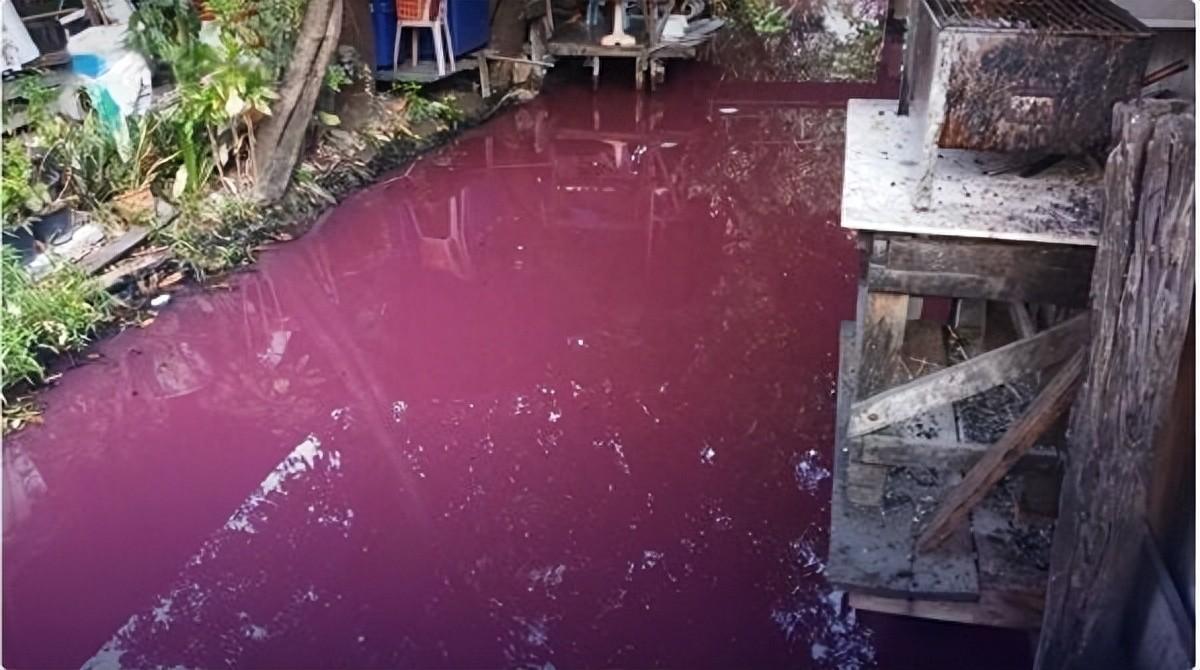 泰国运河水惊现粉红色，污染严重！