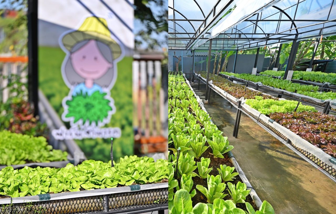 中央集团推动本地智慧标识 提升基础经济实现可持续增长