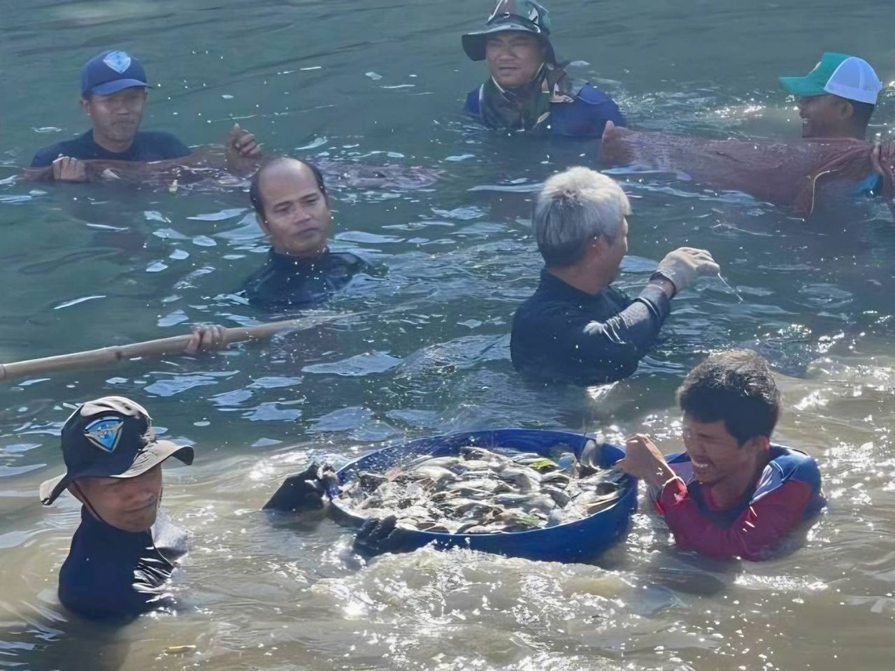 推出七项措施控制黑喉罗非鱼,两省不再出现疫情