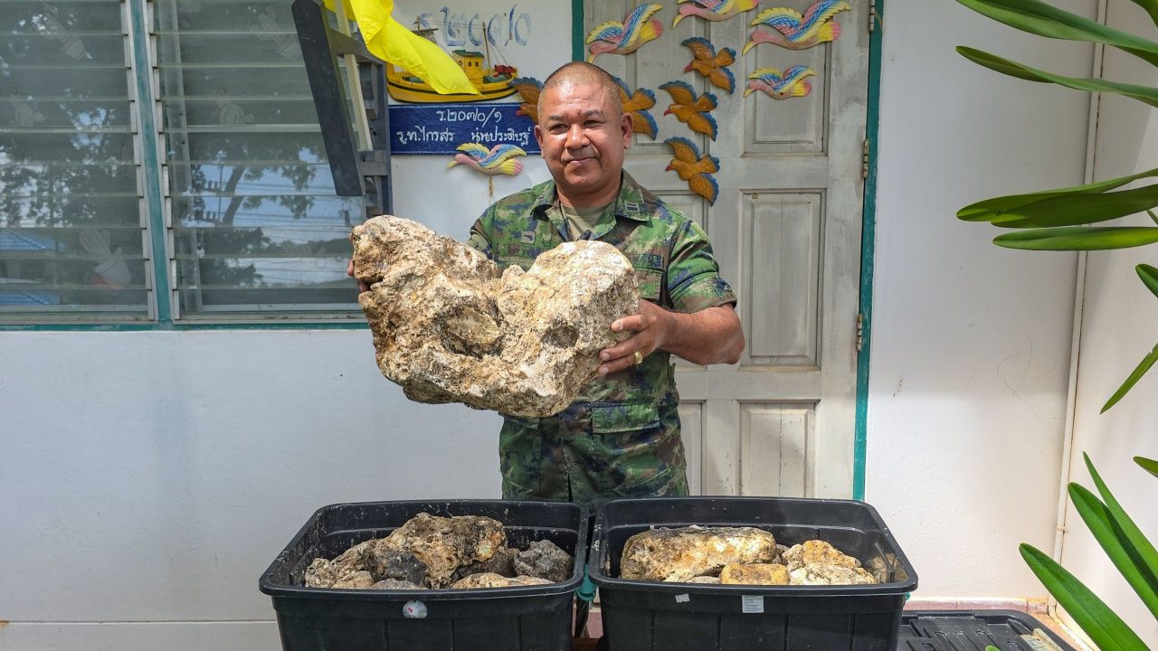 公告出售55亿的南海鲸鱼吐物,海军军官展示9年来精心保存的证书