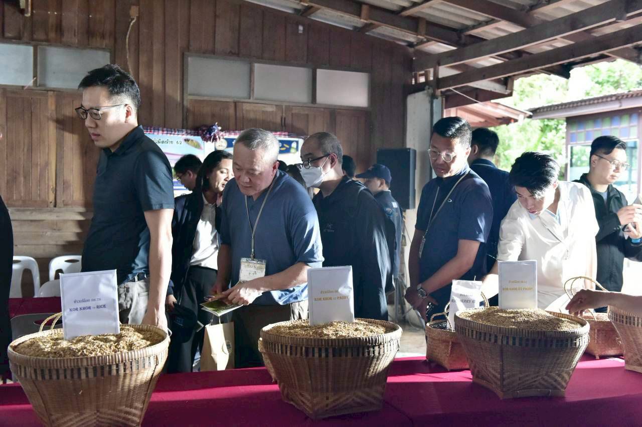 泰国与29家香港公司携手，将“泰国大米”锁定为出口首选，推动“桑硬米”打入健康市场