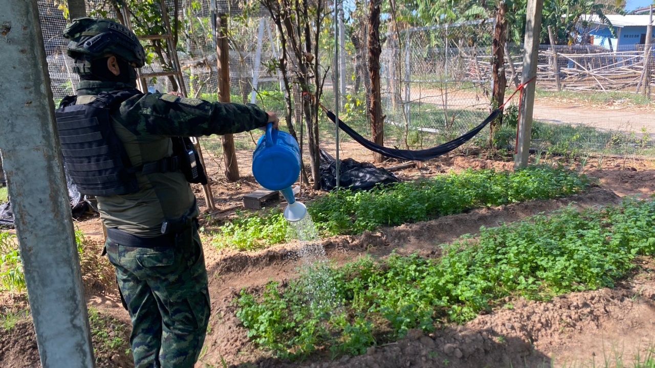 每个生命都有意义 