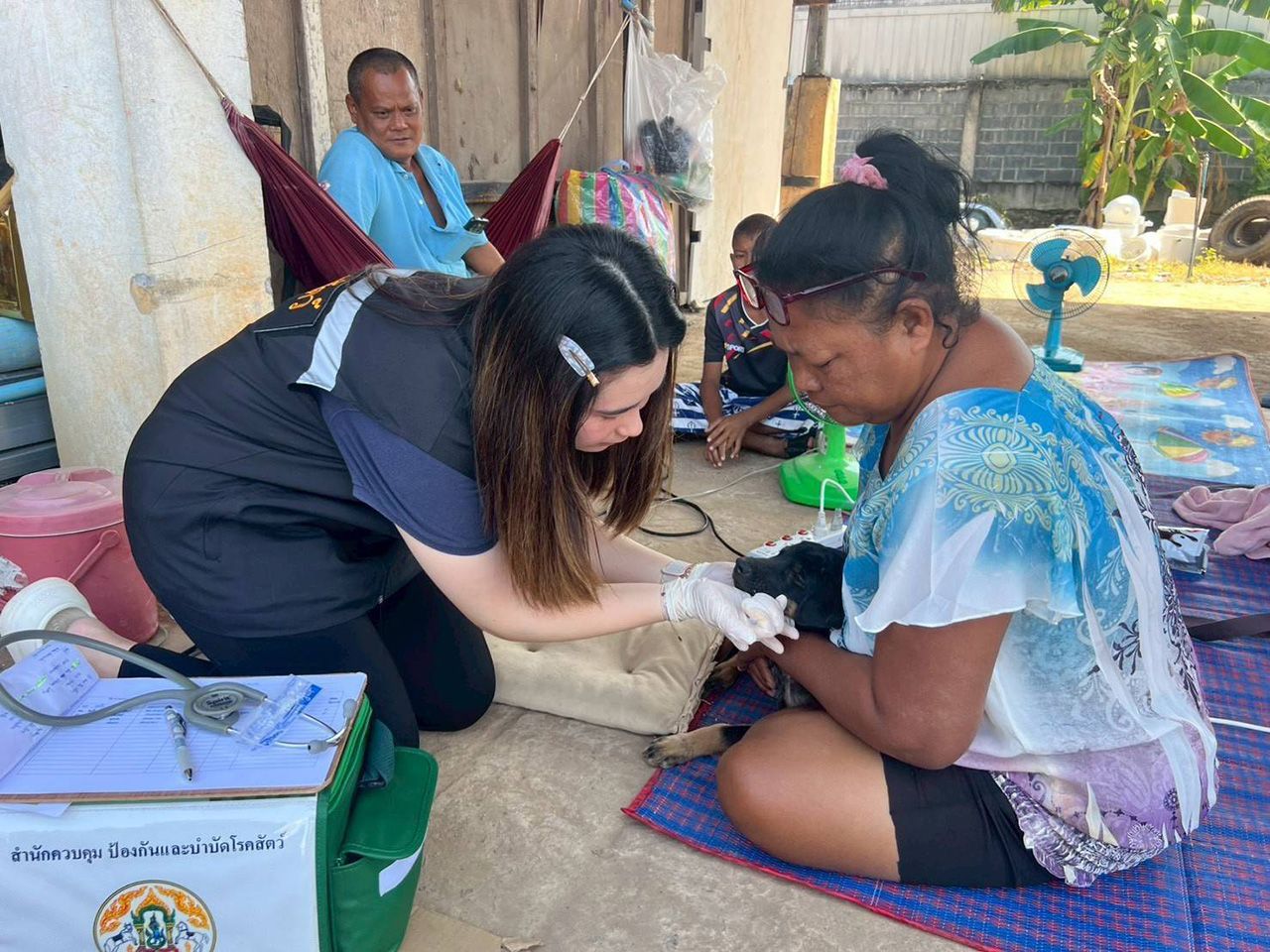 畜牧局加紧运送牧草及牲畜饲料,兽医团队支援泰柬边境农民