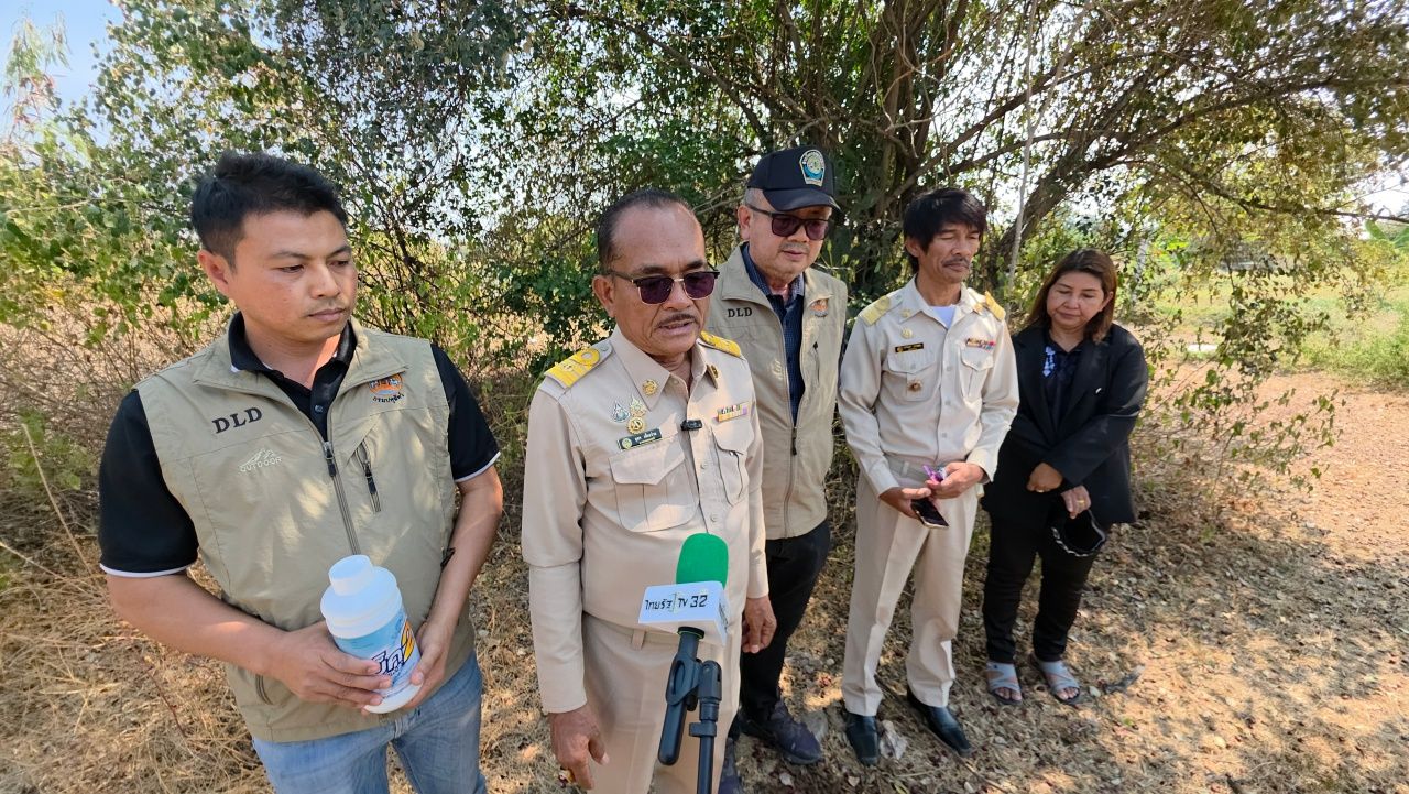 村民惊恐，发现类似狗头骨被随意丢弃，经检查实为猪头骨