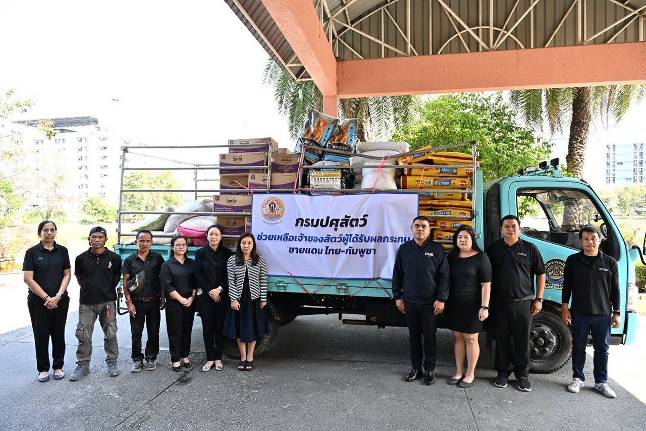 畜牧局援助5个泰柬边境省份受战事影响的畜牧灾民