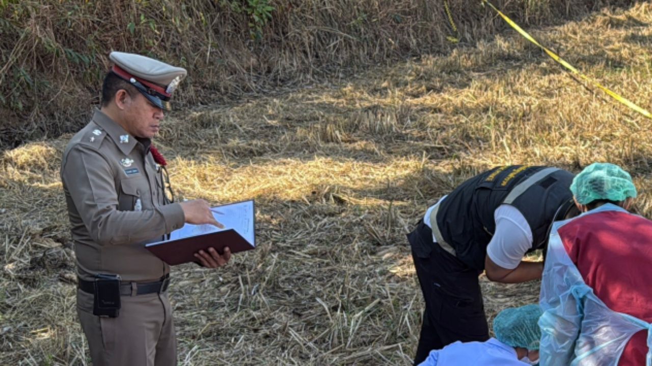 新年惊魂:儿子药物幻觉中杀害母亲 将头颅扔在田间