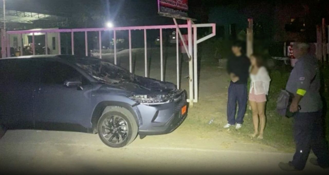 红色牌照小车撞上大象，司机回忆事发一刻