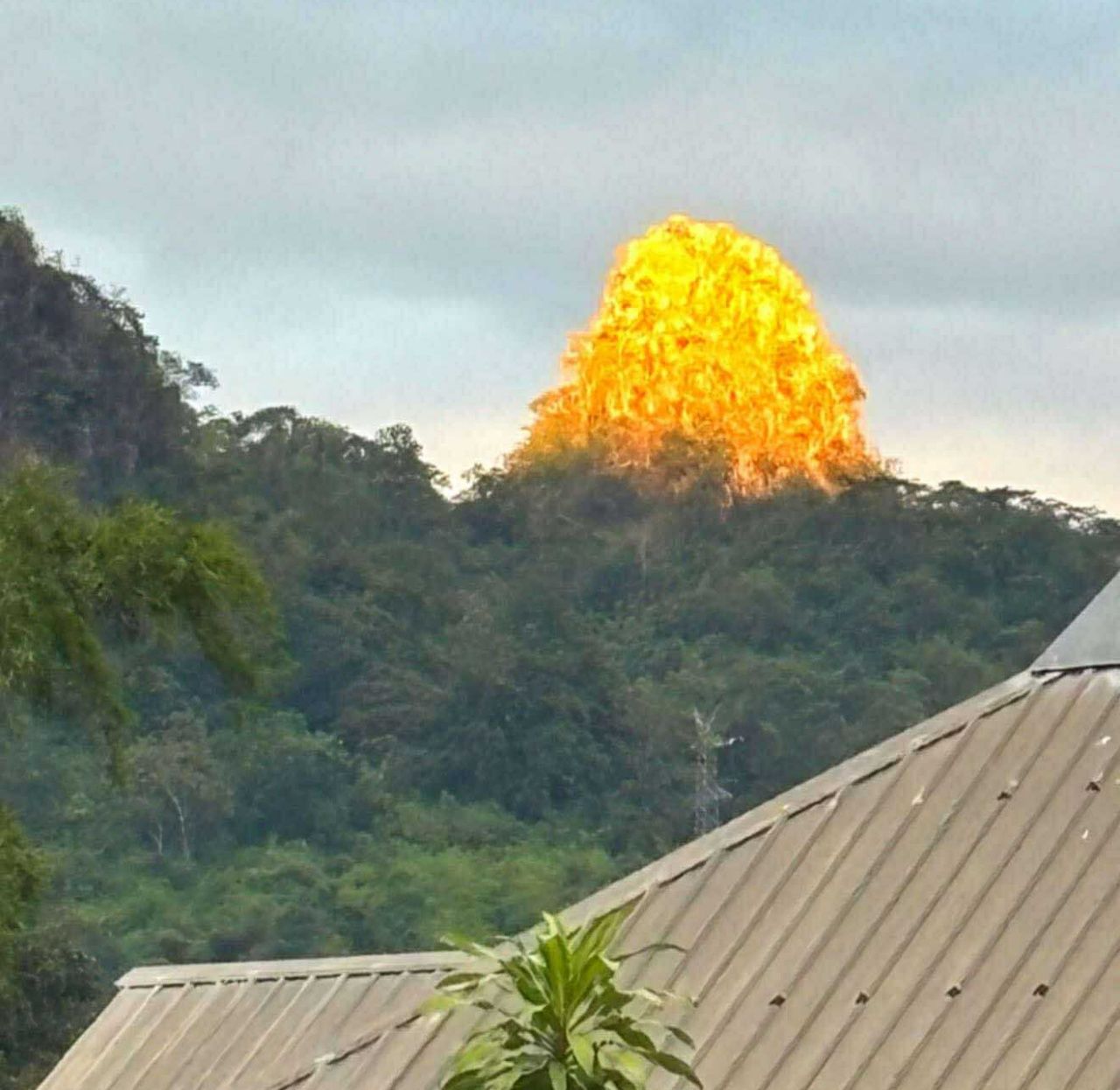 教授揭示奇异现象“尖峰山”变成金色的原因