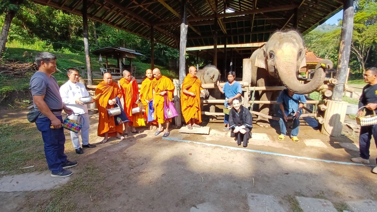 温暖的玛莎象营为养父周察及“宝宝舒”新宠象庆生活动