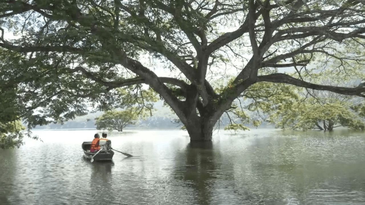 已下令处罚“加速船不减速”,在湄南河水库相撞,发现一艘无证行驶的船