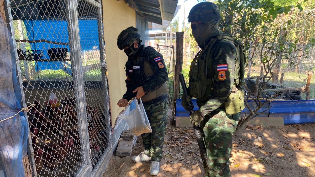 每个生命都有意义 