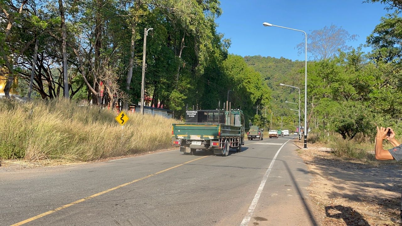 国家公园管理局已将5只“狮子-熊”迁出赌场