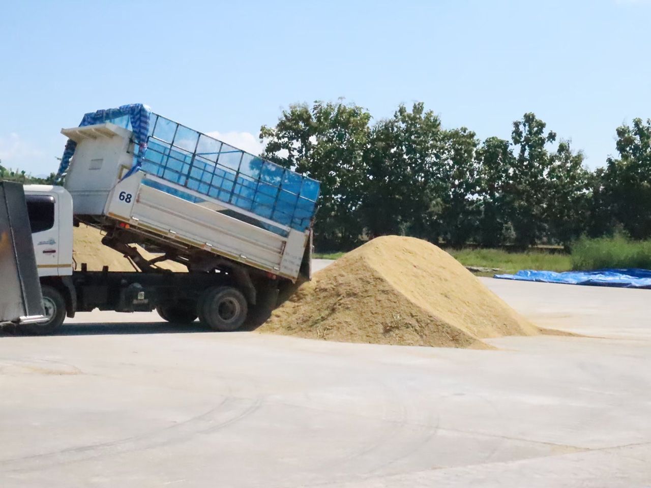 “商务部”严格控制，禁止压低清莱糯米价格，进行衡器检查，防止农民受损