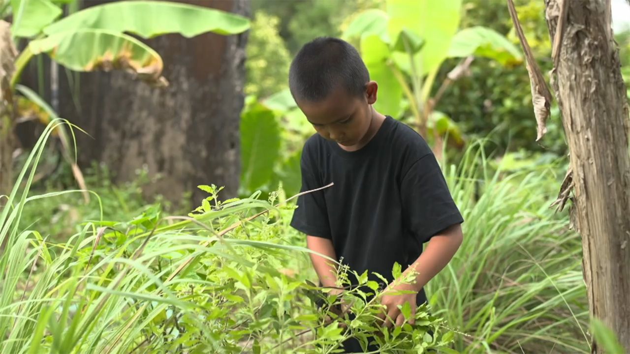 小心弟弟被亲生母亲虐待，新妈妈的拥抱治愈心灵创伤
