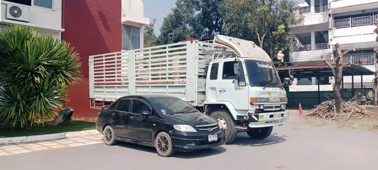 逮捕5人团伙，在丹坤托枪击音乐家口中，严密审讯，控制制作现场图