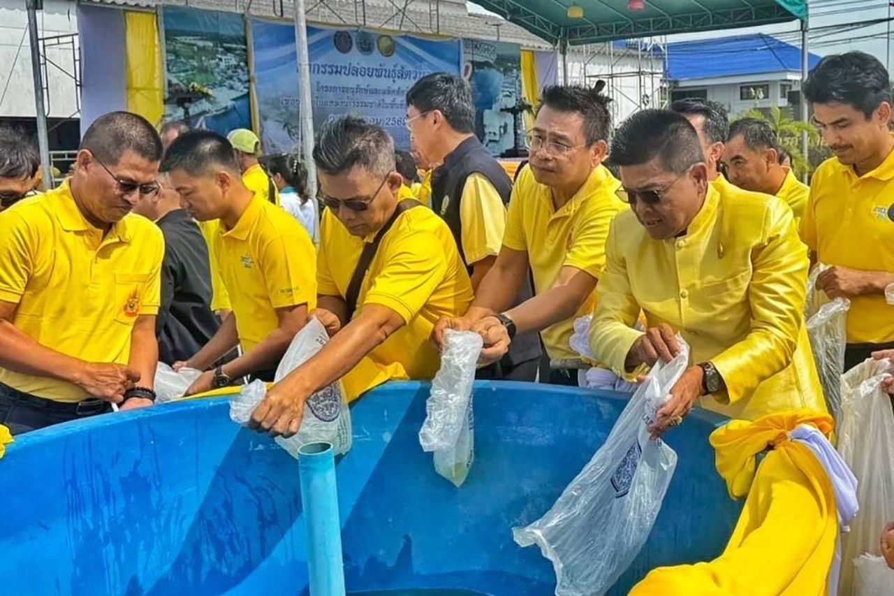洛坤府渔业部门放养1万条捕食鱼以控制黑鳃鱼种群