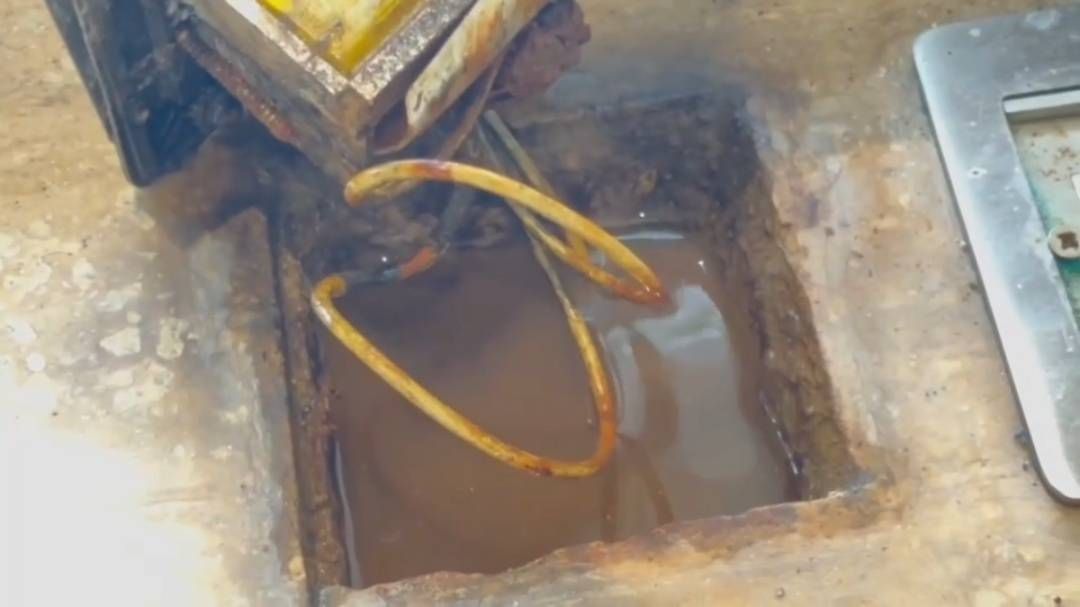 “瓦乍拉” 抱怨耗资200亿的新议会大楼混乱不堪:白蚁侵蚀楝树木材、漏水、天花板开裂