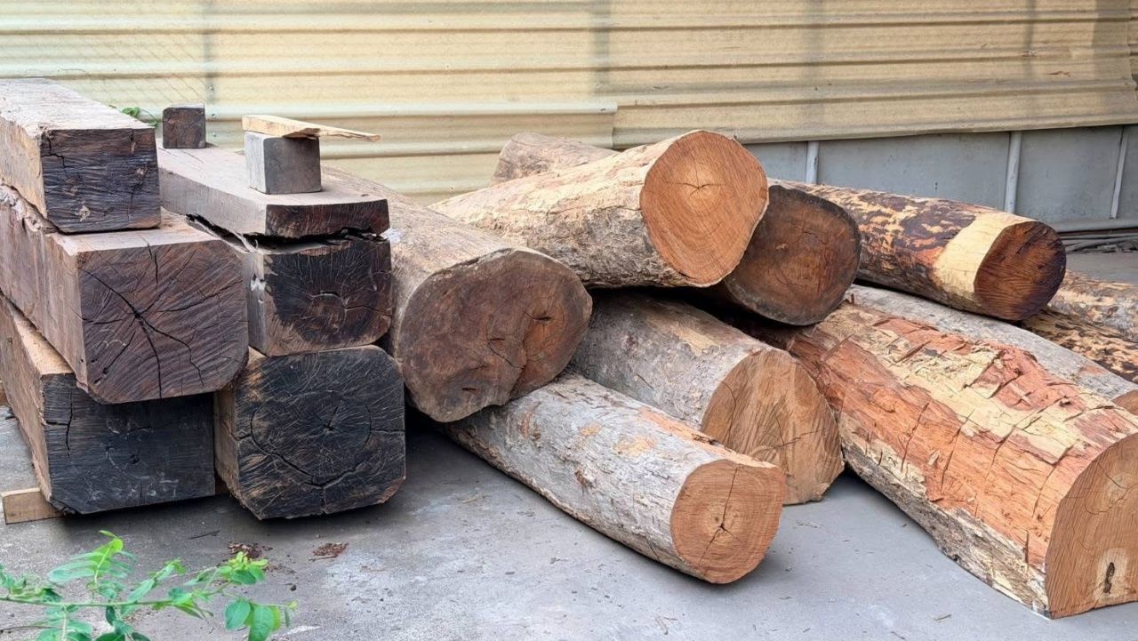 “维罗” 揭露神秘电话假借“乔姆旺塔”之名威胁 DSI，涉及非法木材与灰色中国资本