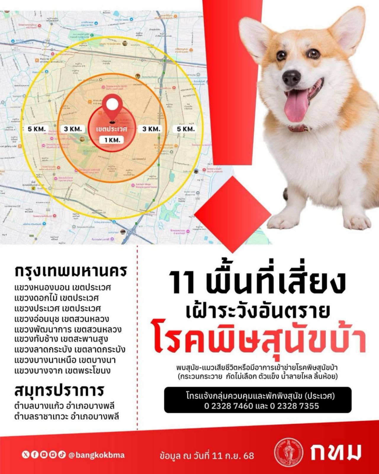 11 个风险区域 监测“狂犬病” 在发现感染犬咬人之后