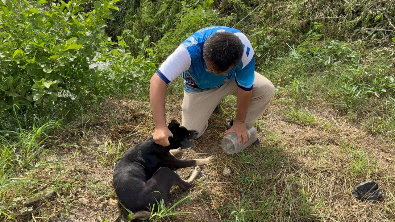 专家帮助“瓶颈狗”，发现疲惫状况，追捕3小时才成功