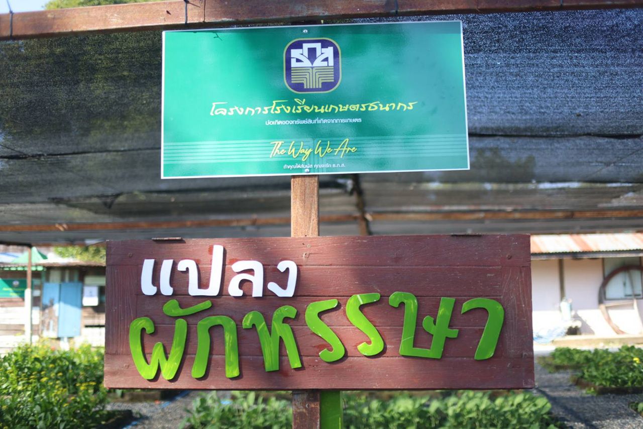 农商银行推进“农业银行学校”计划 培养农业青年