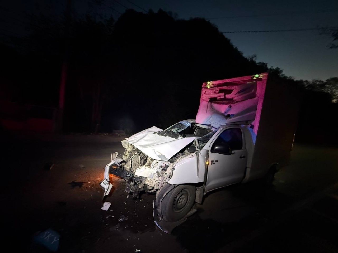 皮卡撞“大象”,司机受伤,官员紧急追踪大象动向