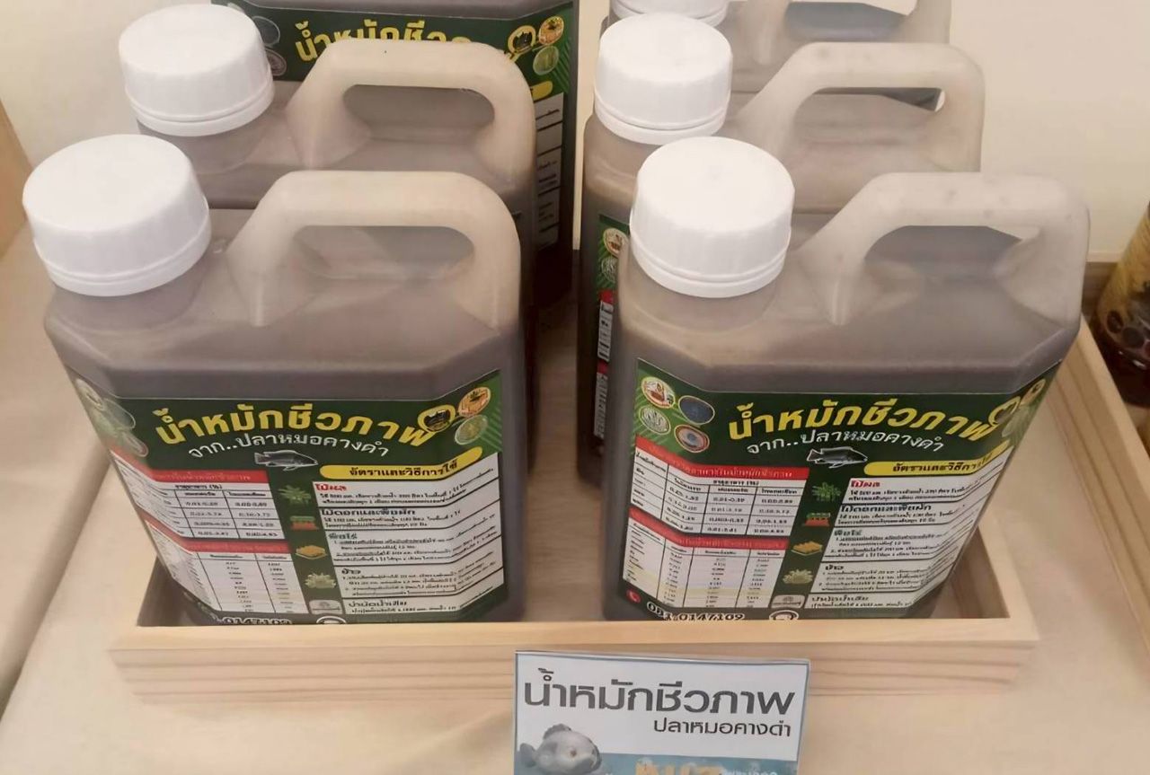 推出七项措施控制黑喉罗非鱼,两省不再出现疫情