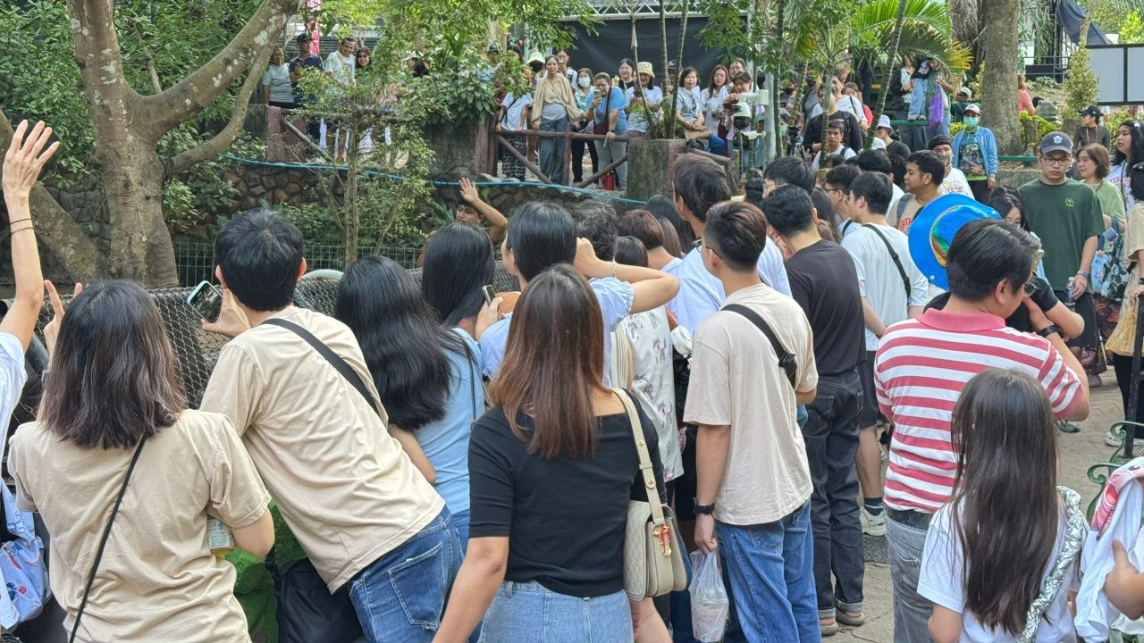 游客热情庆祝“穆登”小矮河马一周年生日