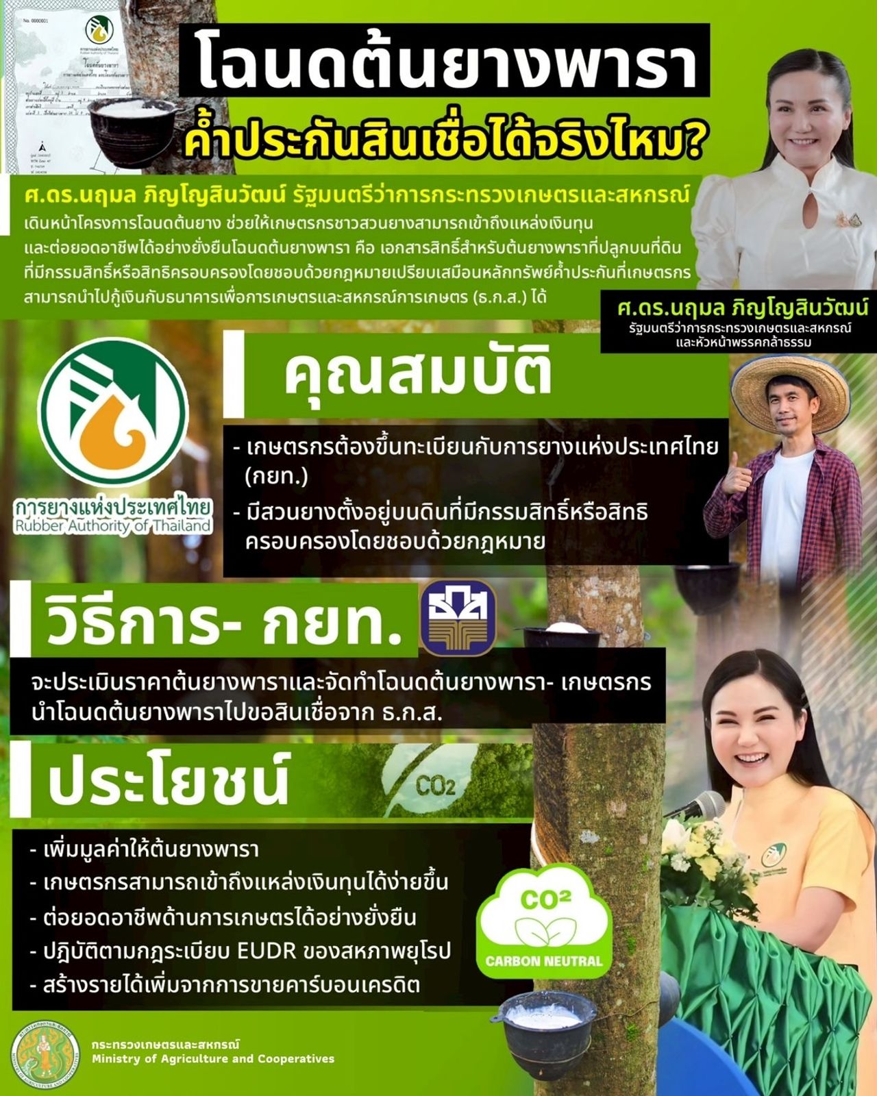 5月12日，“纳鲁蒙”启动发放树木和橡胶树地契，目标全国分发