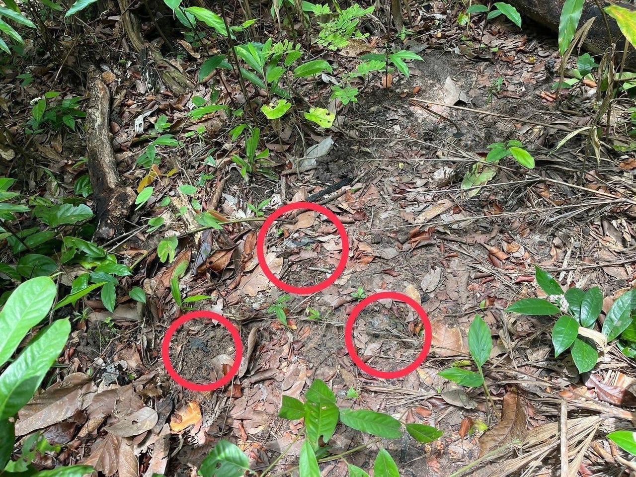翡翠基地战场：新雷还是遗留雷？——前野战军士兵的看法