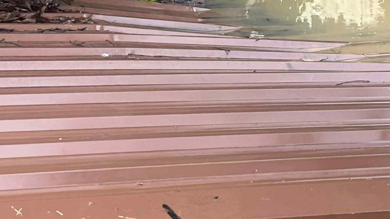 令人心痛的画面 