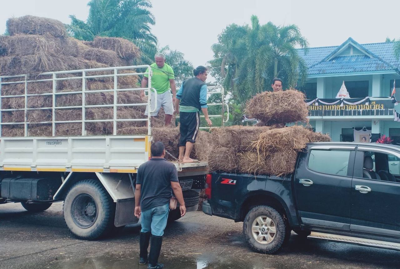 畜牧局加速支援养殖户并派送兽料至南部洪灾区