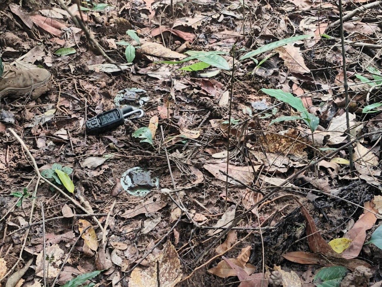 皇家陆军派工兵部队清除地雷，收集更多证据交给外交部呈交给联合国