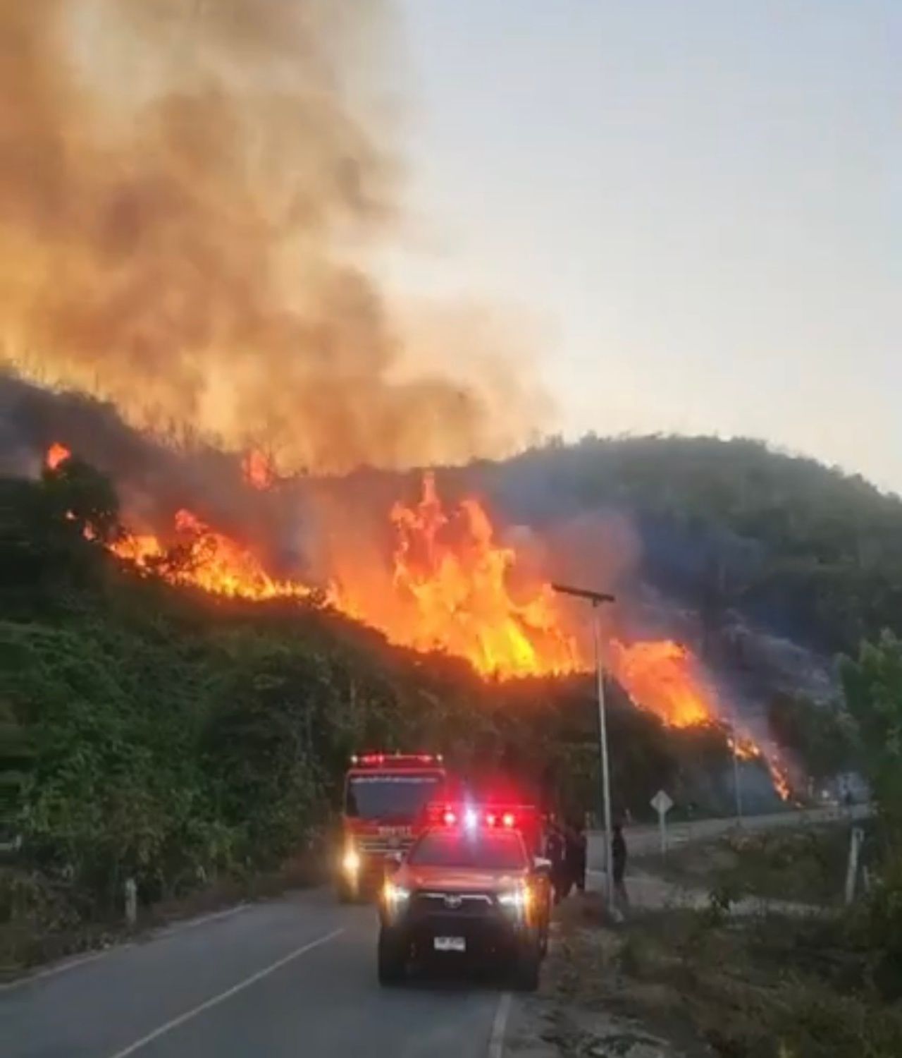 山火蔓延到萨梅撒山 集中超过10辆消防车加紧控制局势