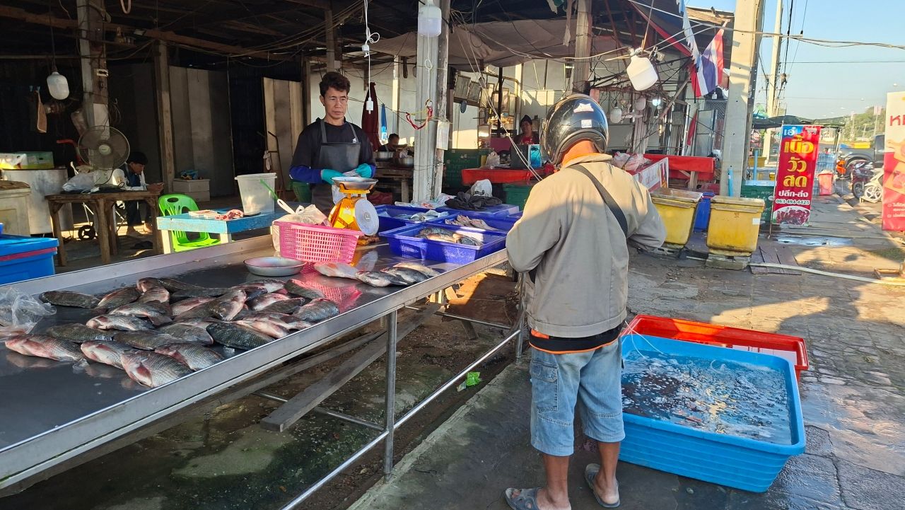 素林边境谨慎庆祝新年,随时准备撤离,尽管已无枪声5天