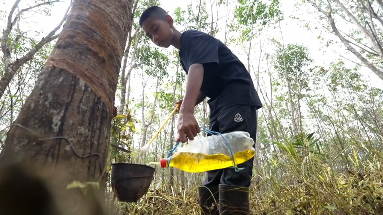 11岁农业少年“小纳特”，独自养祖母，只期待能再见到父母