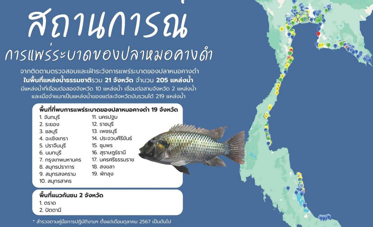推出七项措施控制黑喉罗非鱼,两省不再出现疫情