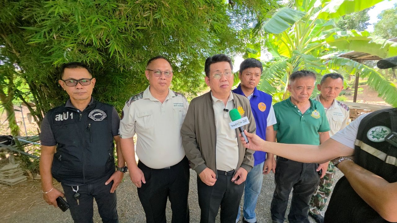 网红为“狮子逃脱”事件致歉，誓言承担所有医疗费用