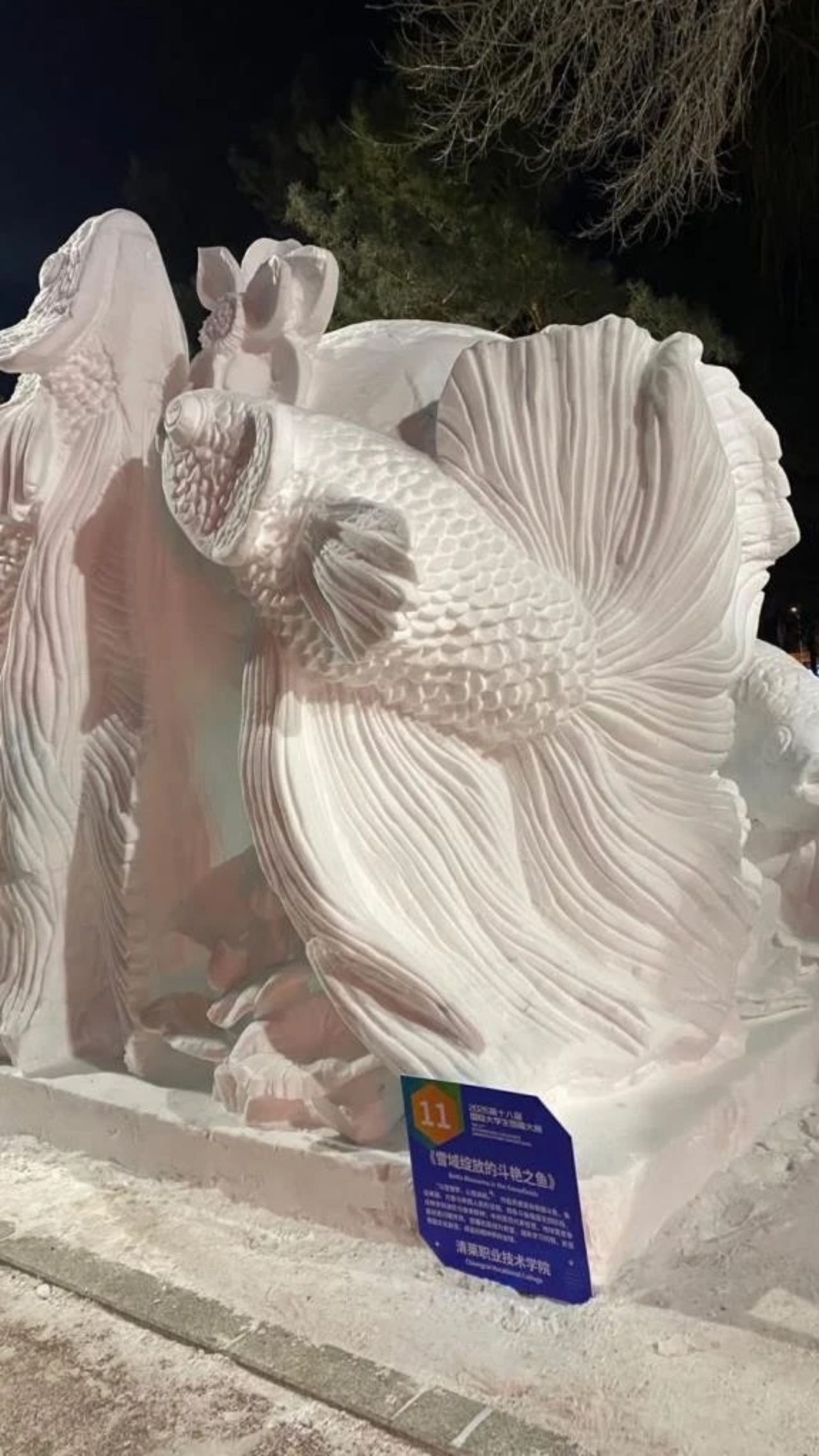 赞扬4支职业队哈尔滨冰雪雕刻冠军 