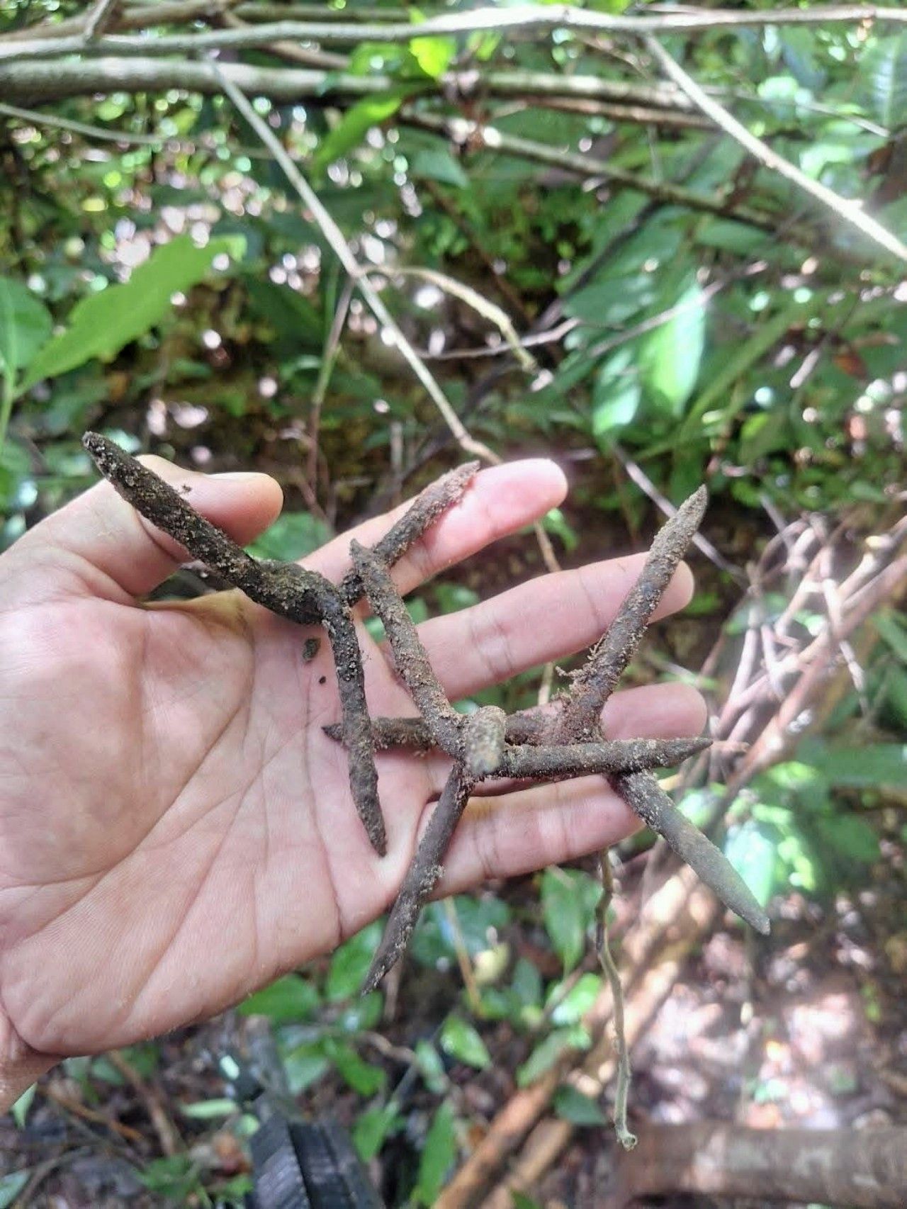 政府批评柬埔寨持续违反协议，继续埋设地雷和铁蒺藜