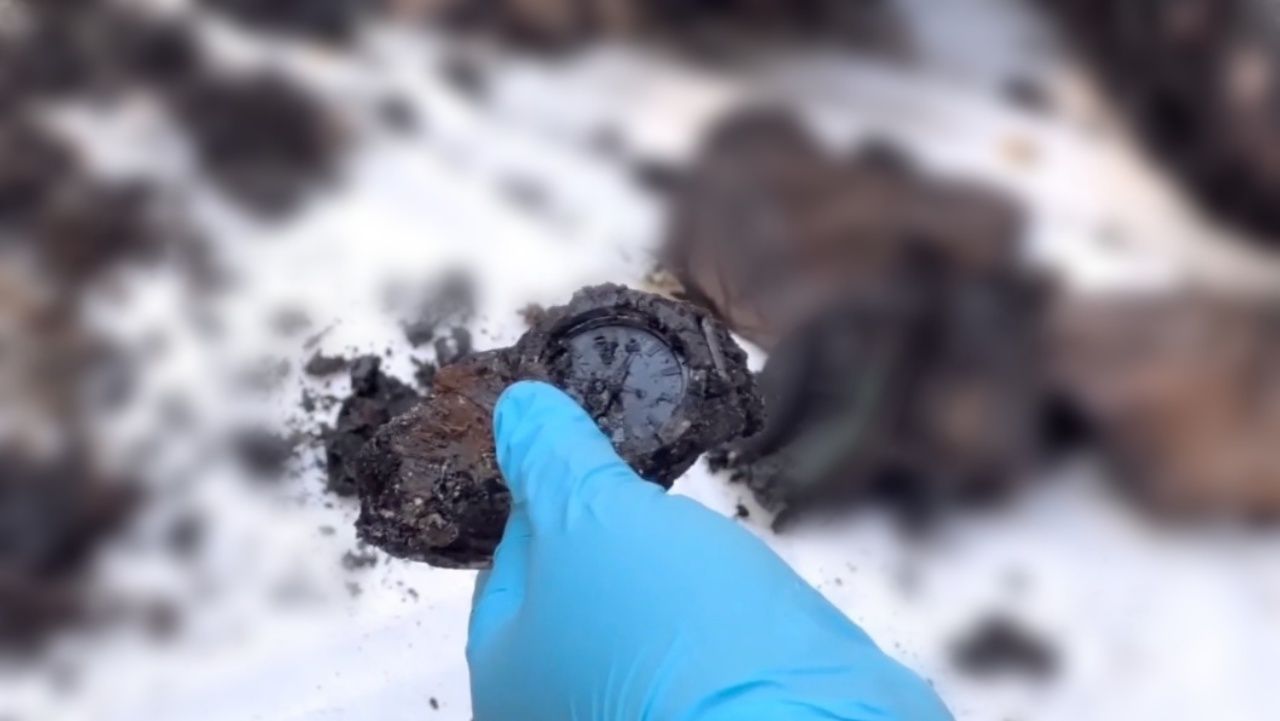 神秘尸体被杀后焚烧于森林中 发现腿部钢板和名牌手表