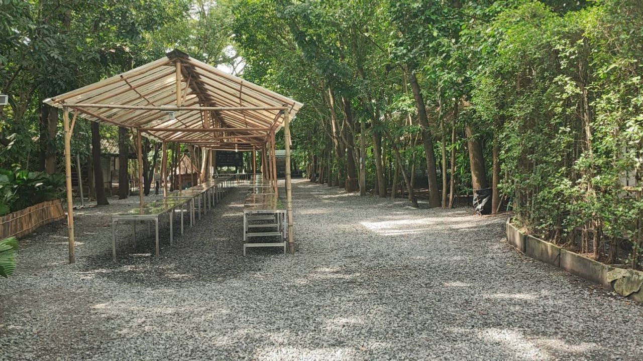 揭开巴吞他尼府 Na Pa Pong 寺的历史，以传播 
