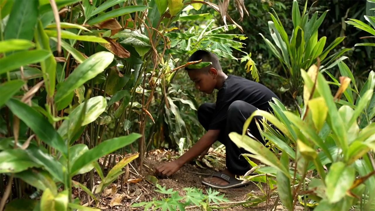 11岁农业少年“小纳特”，独自养祖母，只期待能再见到父母