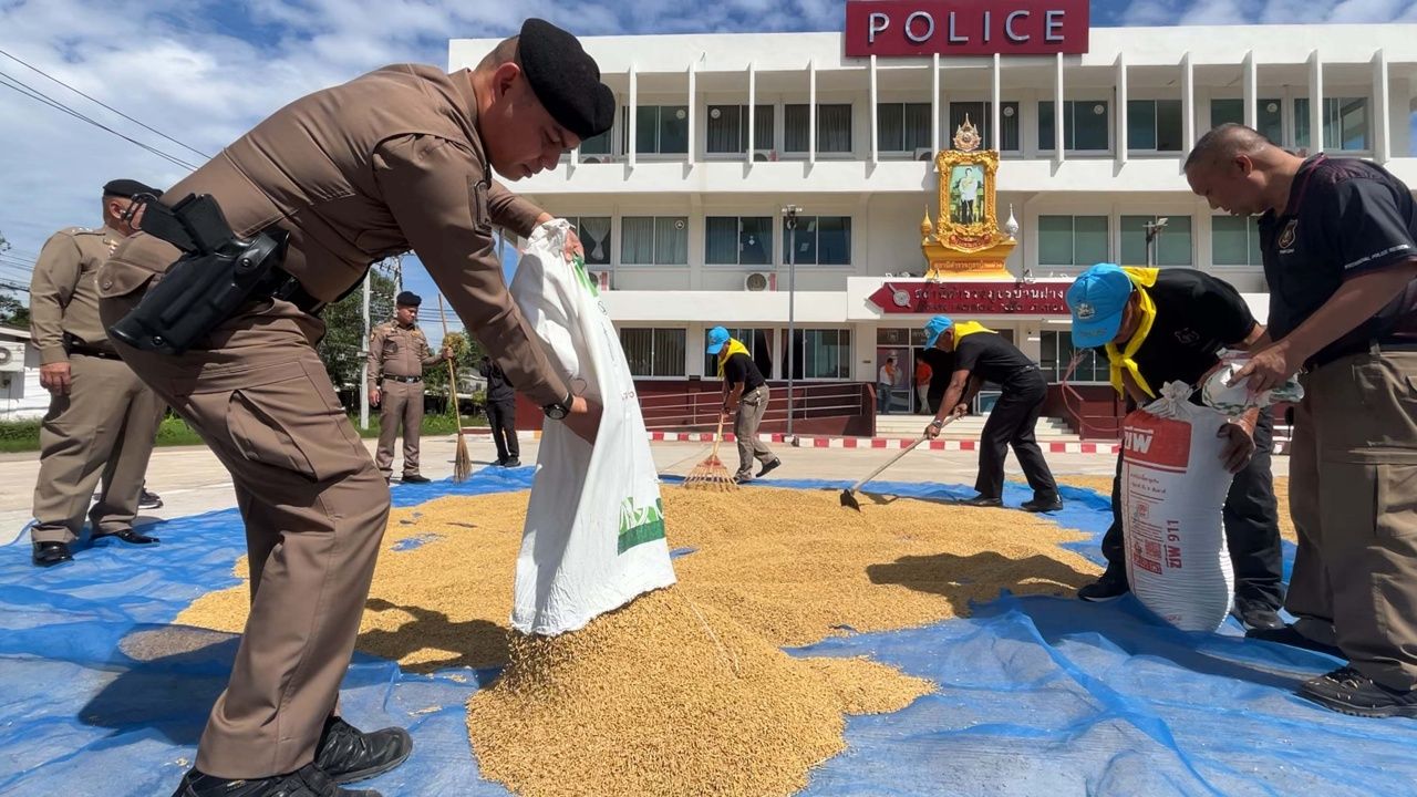 Ban Fang警局开放停车场供农民晒稻，村民确信小偷不敢偷