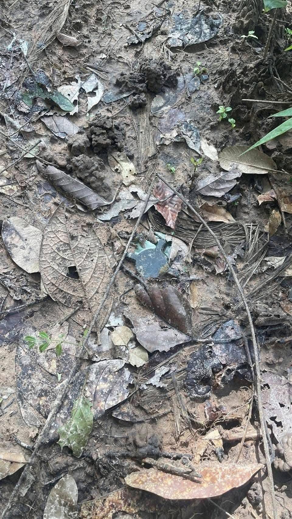 翡翠基地战场：新雷还是遗留雷？——前野战军士兵的看法