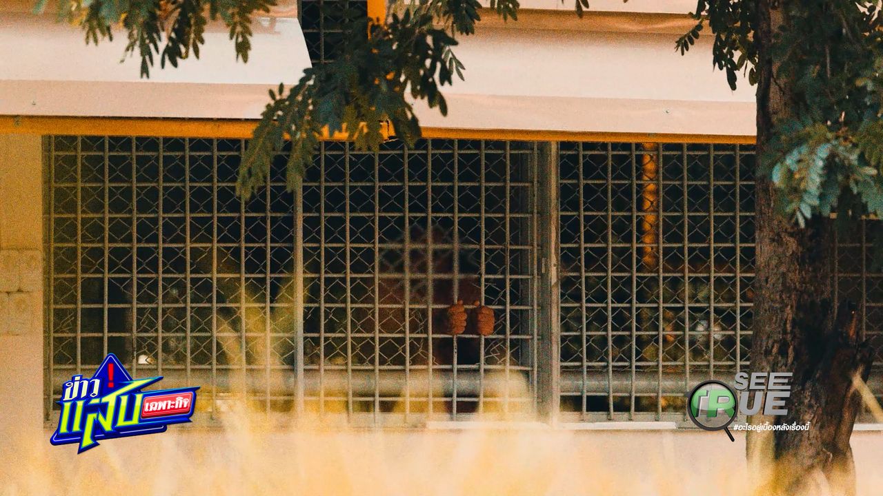开放精神病房：狱警在高墙内的风险职责