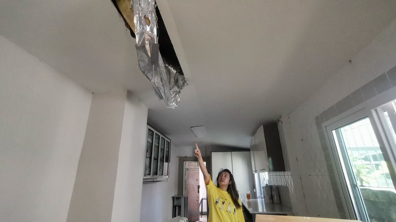女子惊恐 5米长蟒蛇从天花板掉落，欲袭击苏格兰折耳猫